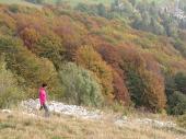 20 prima nel bosco